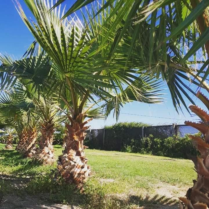 Del Valle Quilimari